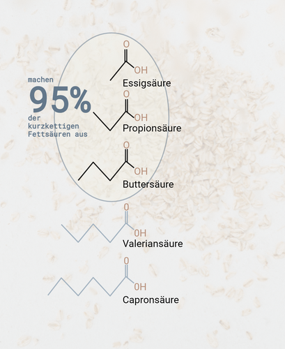 Was macht 95% der kurzkettigen Fettsäuren aus.