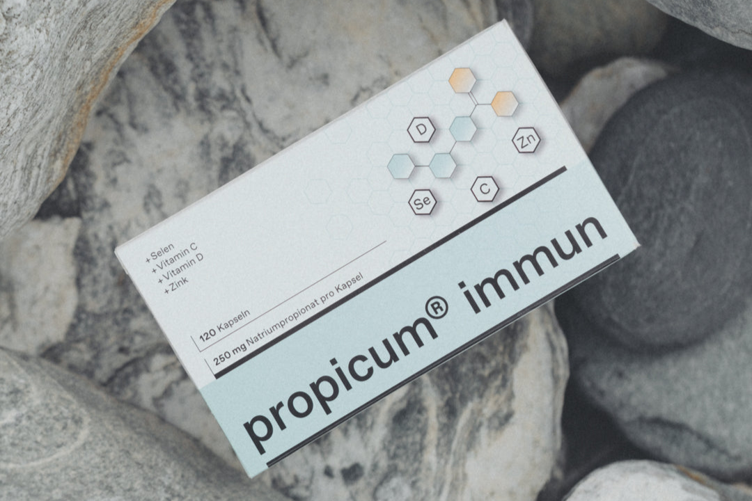 Verpackung von Propicum® Immun, platziert auf grauen Felsen im Freien. Das Design betont die Kombination aus Selen, Vitamin C, Vitamin D und Zink, die zur Stärkung des Immunsystems beitragen.